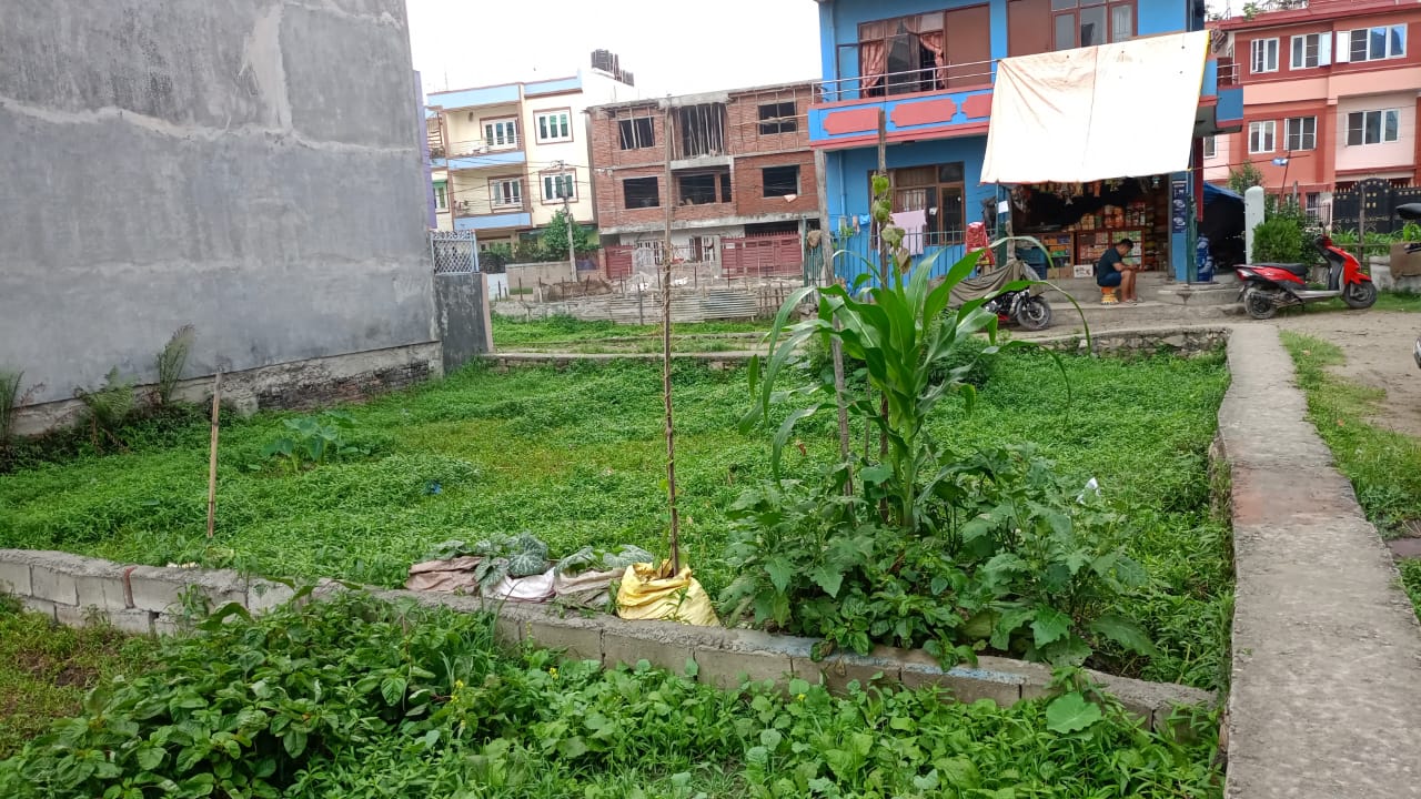Picture of Madhyapur Thimi Municipality, Bagmati